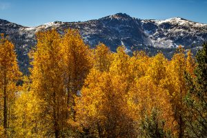 Fall Photography - Caples Lake Mountains