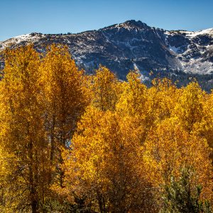 Fall Photography - Caples Lake Mountains
