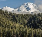 Mt_Shasta_Area_Front_Street_Media_06