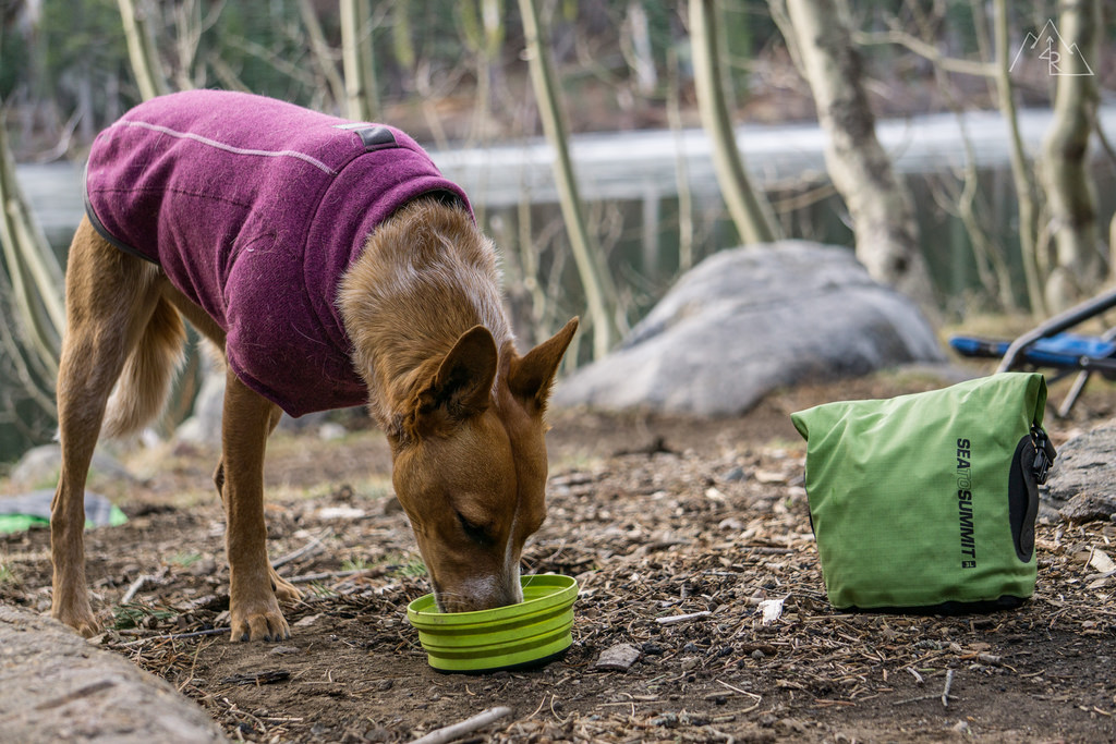 Sea2Summit - Dog Camping Food Bowl and Bag
