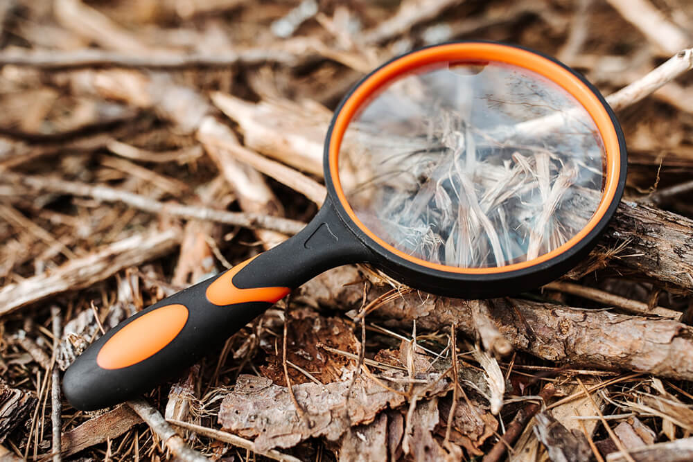 3x Shatterproof Magnifying Glass - Camping Essentials With Kids Under 12 