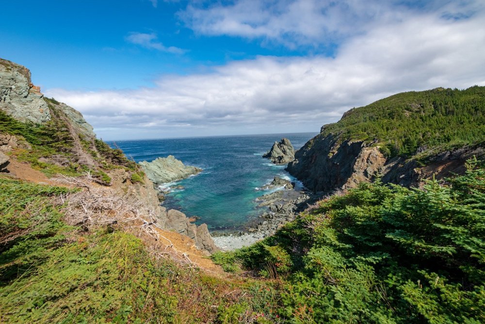Overlanding in Newfoundland: Everything You Need to Know About Getting There, Trailing, Camping & Off-Roading in the 4Runner