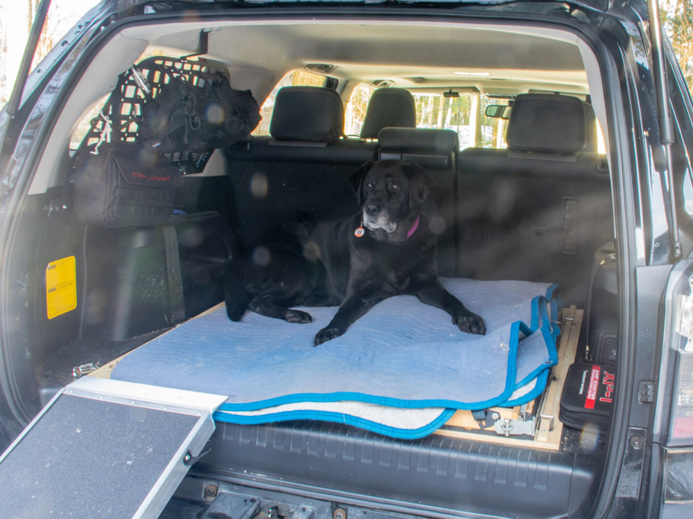 Discount Ramps Folding Dog Ramps: The Perfect Kit for Overlanding in the 5th Gen 4Runner with an Older Dog