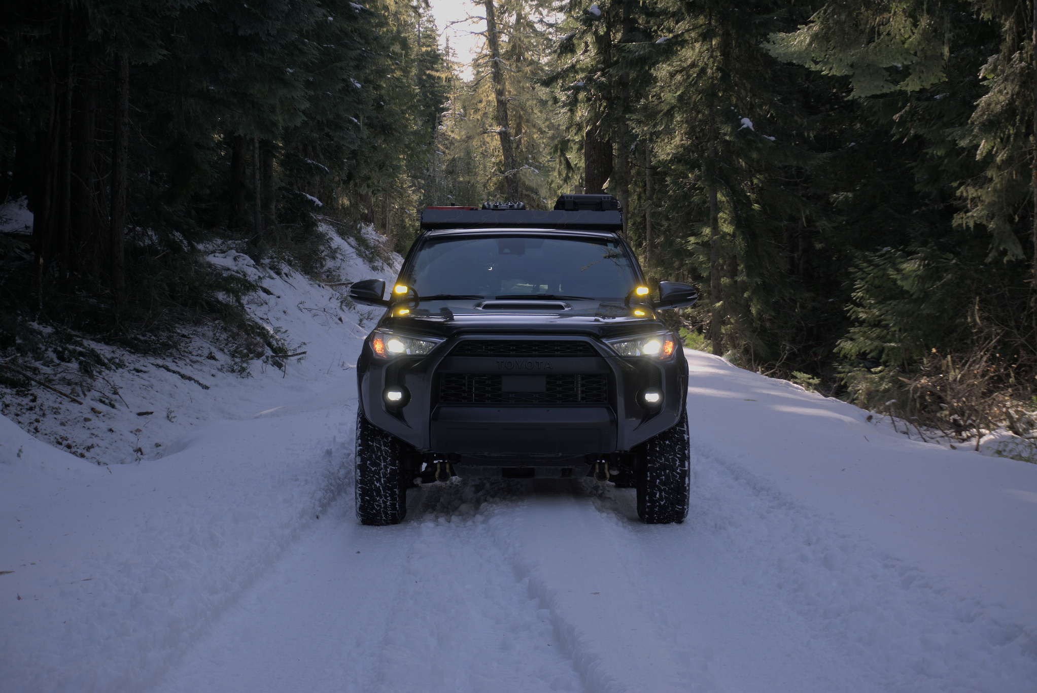 Diode Dynamics SSC2 Pro Ditch Lights on 5th Gen 4Runner Review