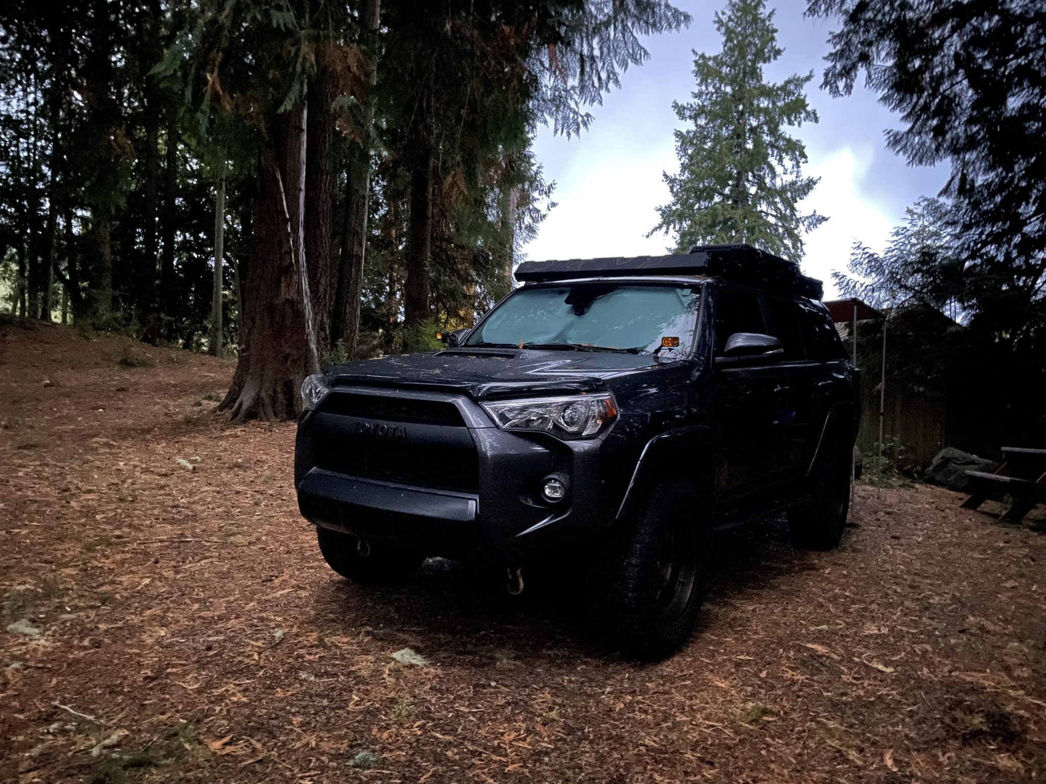 Diode Dynamics SSC2 Pro Ditch Lights on 5th Gen 4Runner Review