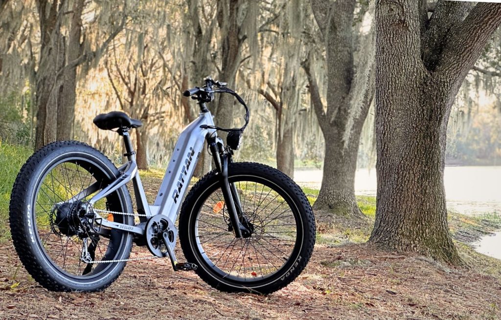 E-Bikes For Camping