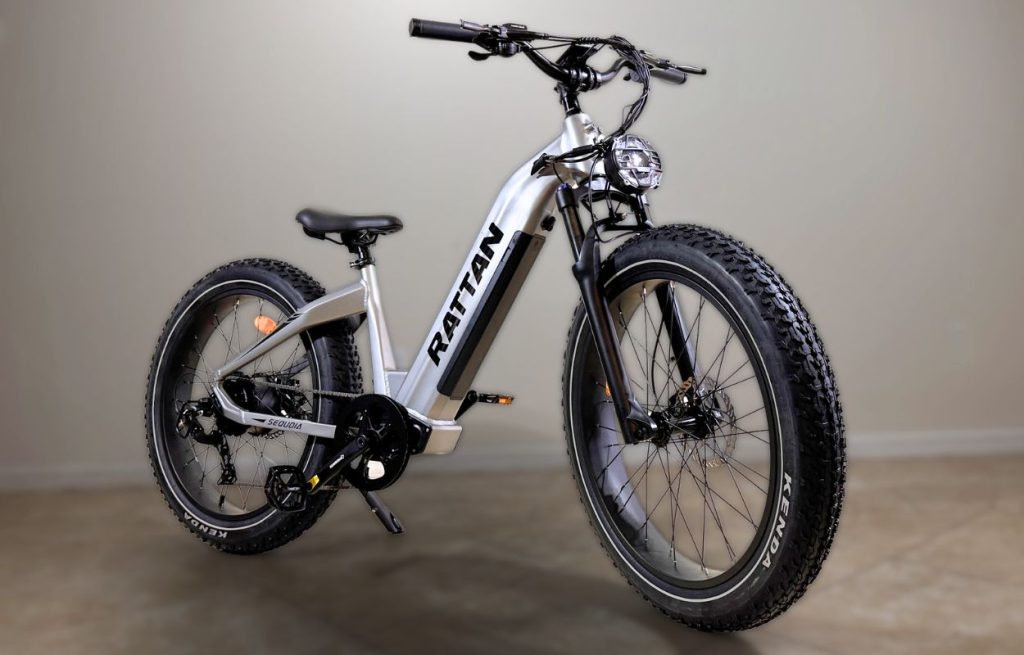 Rattan E-Bike - Silver Sequoia
