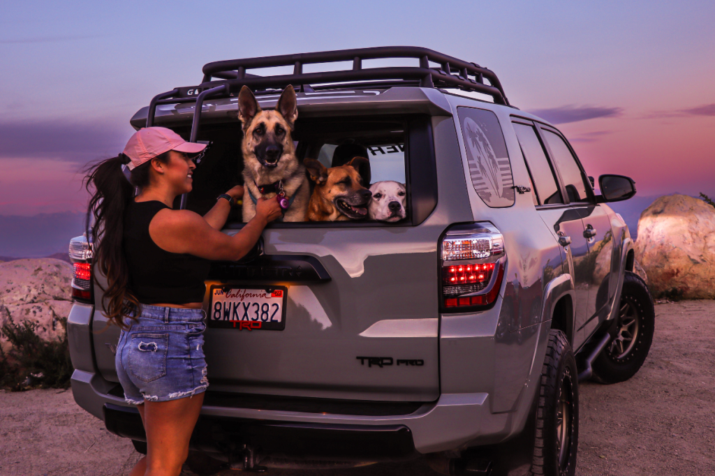 Women Wheeling 4Runners With Dogs