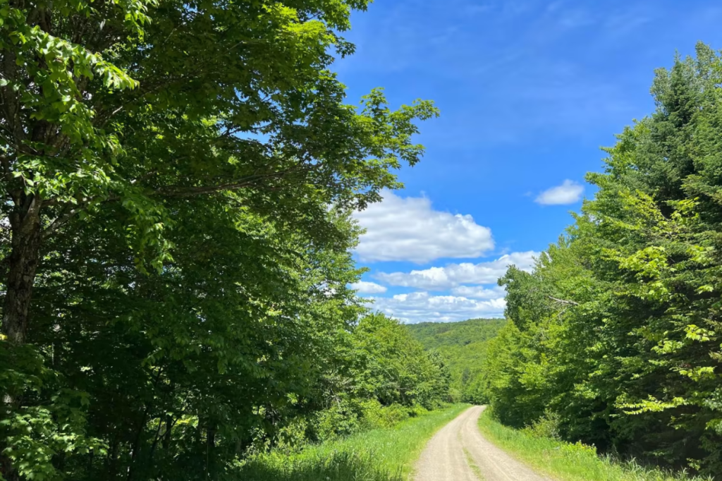 Cedar Stream Road in New Hampshire