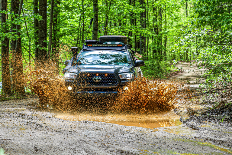 7 Off-Road Trails & Areas To Explore In South Carolina