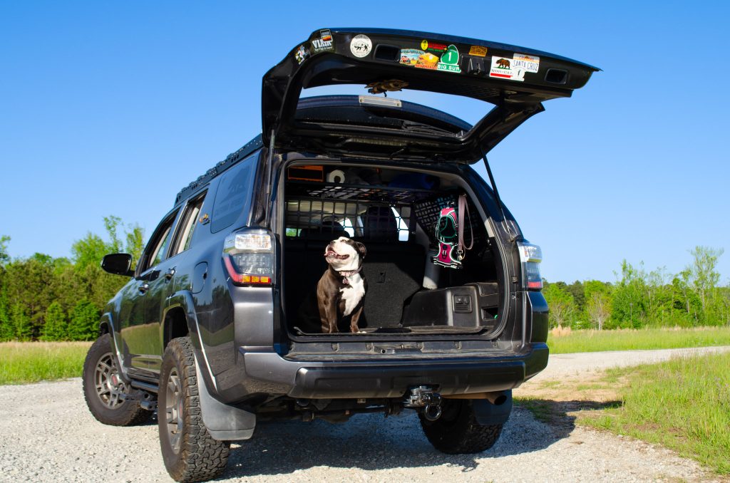 Bison Gear Cargo System Review